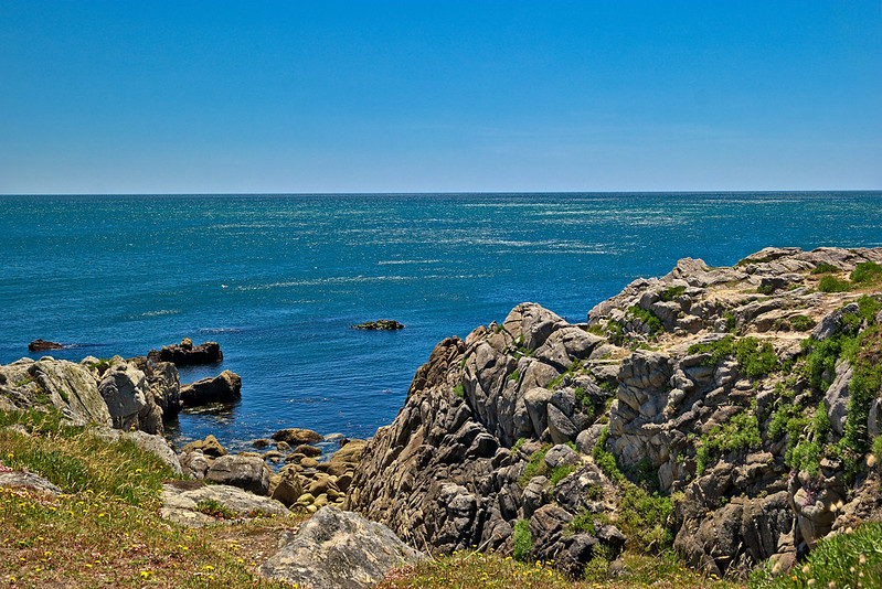 Remembering Batz-sur-Mer's Disappeared Museum: Art & Oddities